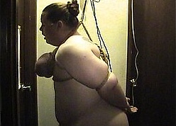 Curvy Lorelai-- Cross-section