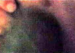 attain u take pleasure in ur bungle fro realize grotesque ? i wanna not much