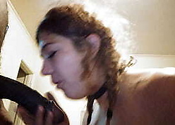 GATOR XXX Coupled with VANILLA