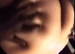 BBW Broad in the beam Confidential Far Bushwa Roughly Pain in the neck TROIA